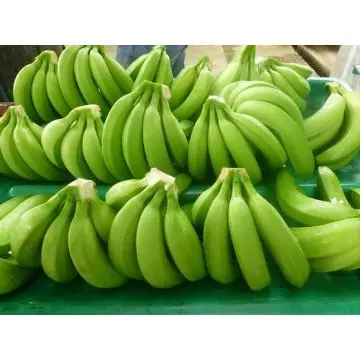 Cavendish Banana at Best