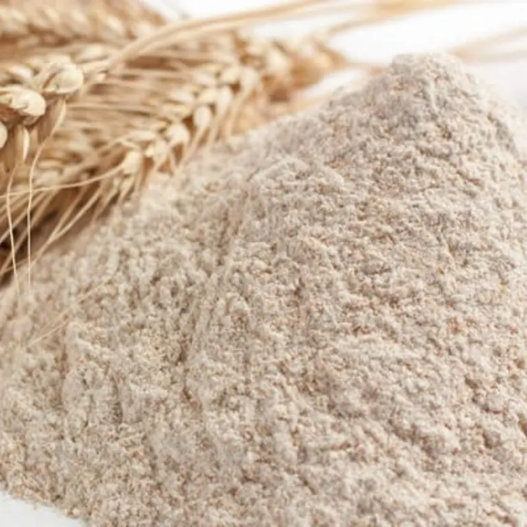 
best quality wholesale vital wheat glute for export 