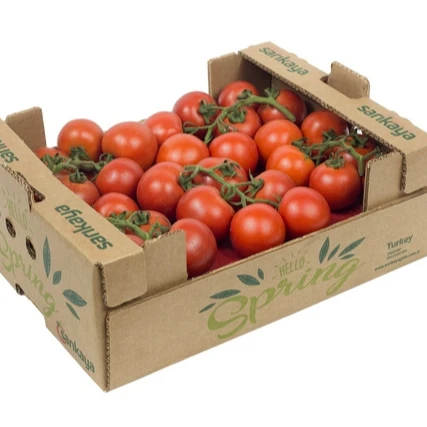 Fresh Tomato Cluster