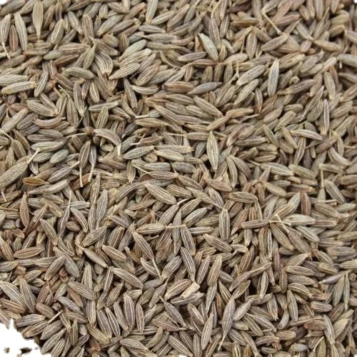 India wholesale export high quality Dried cumin seeds