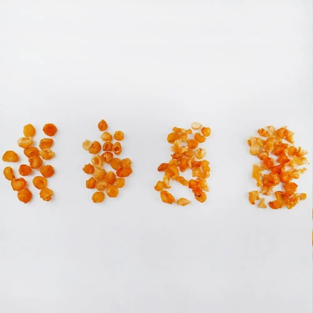 Wholesale Golden Dried Longan 5A, 4A 3A and Broken Dried Fruit Tea Organic OEM Thailand