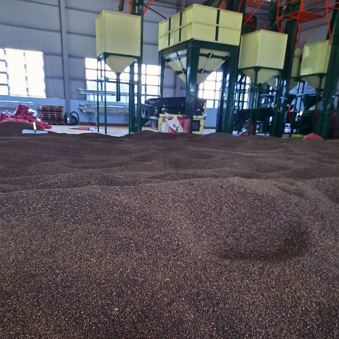 Высококачественный черный перец 550 г/л-570 г/л MC из Вьетнама Лучшая цена на экспорт и оптовую продажу