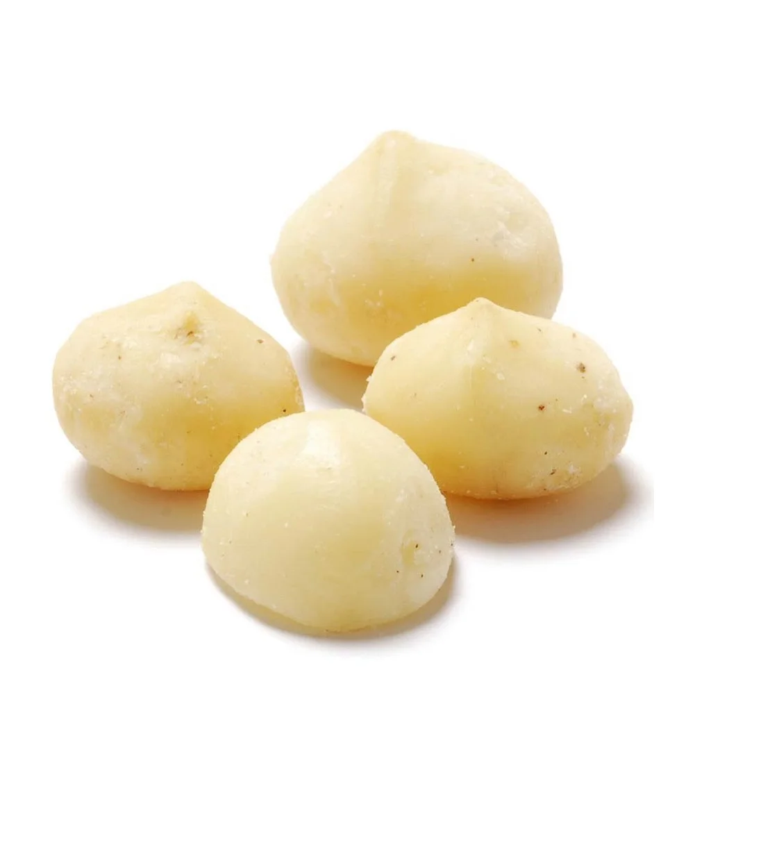 Raw And Roasted Macadamia Nuts Cheap Price Raw And Roasted Macadamia Nuts In Premium Quality (11000001447570)