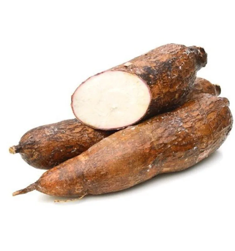 Hot Selling Fresh Cassava In Large Quantity With Export Standard