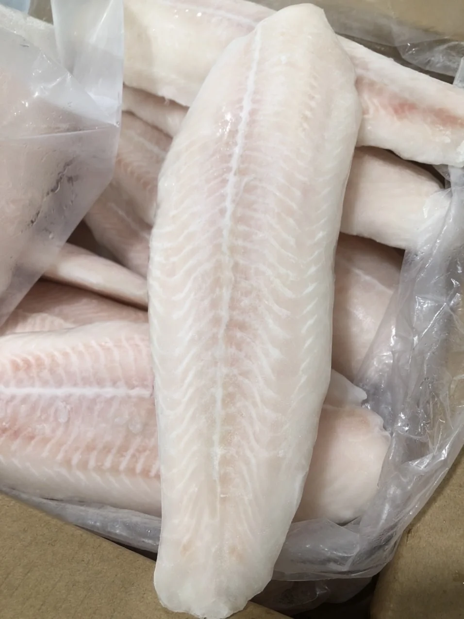 High quality Frozen Pangasius/ Basa Fillet