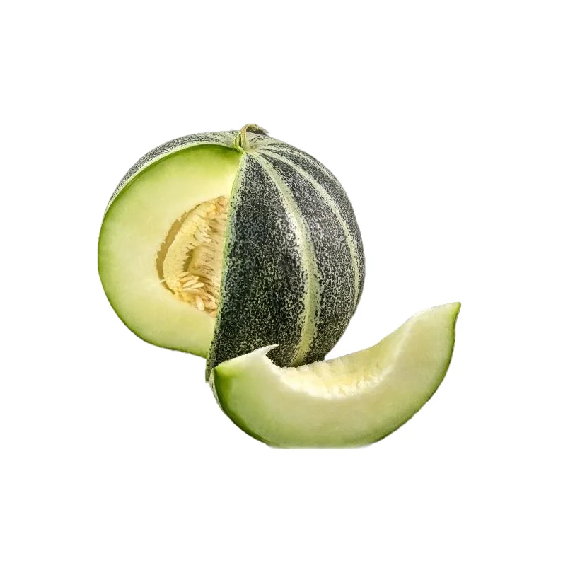 Popular fresh fruit 100% natural high quality fresh kuk dupi melon for sale from Uzbekistan manufacturer