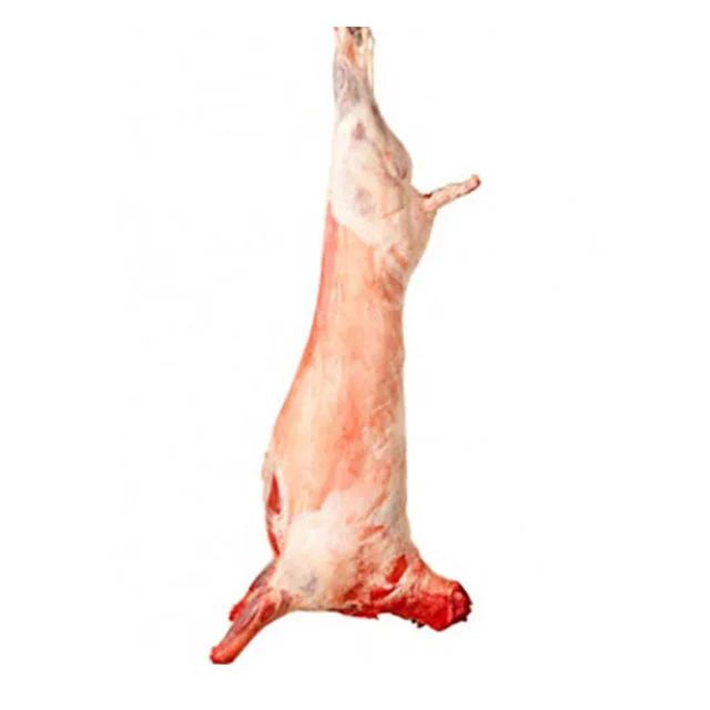 Top Quality Halal Fresh / Frozen Sheep / Goat / Lamb Meat / Carcass For Wholesale