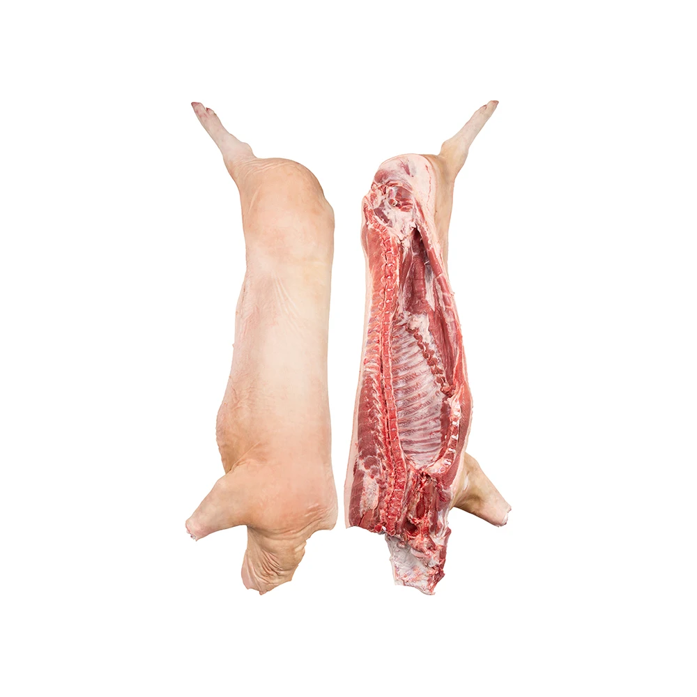 
High Quality Pork Carcass 2-Way Cut Supplier and Exporter 