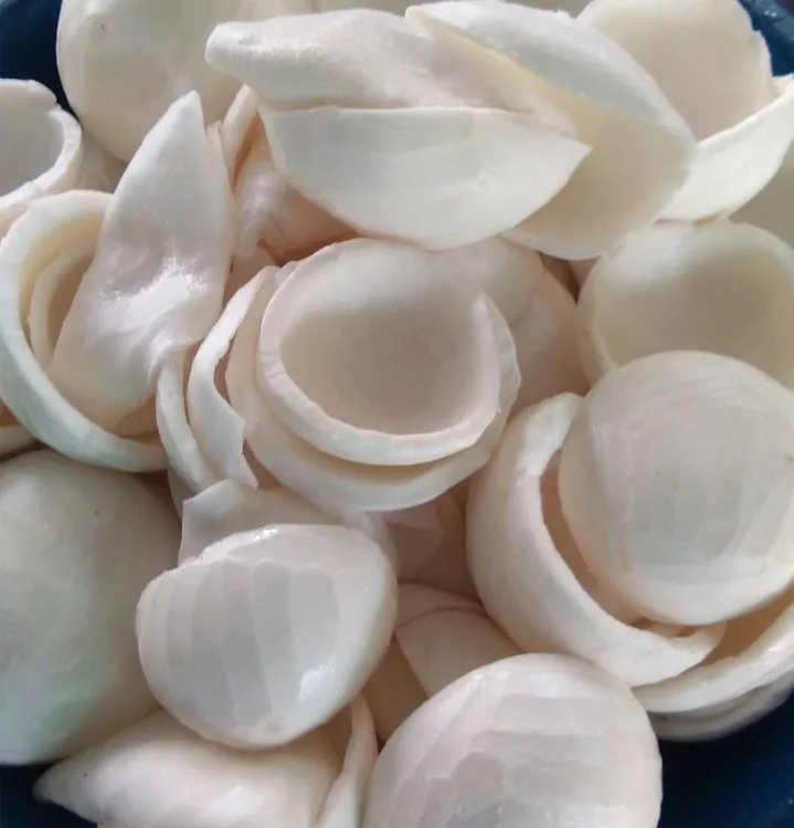 Свежее замороженное кокосовое мясо лучшего качества из