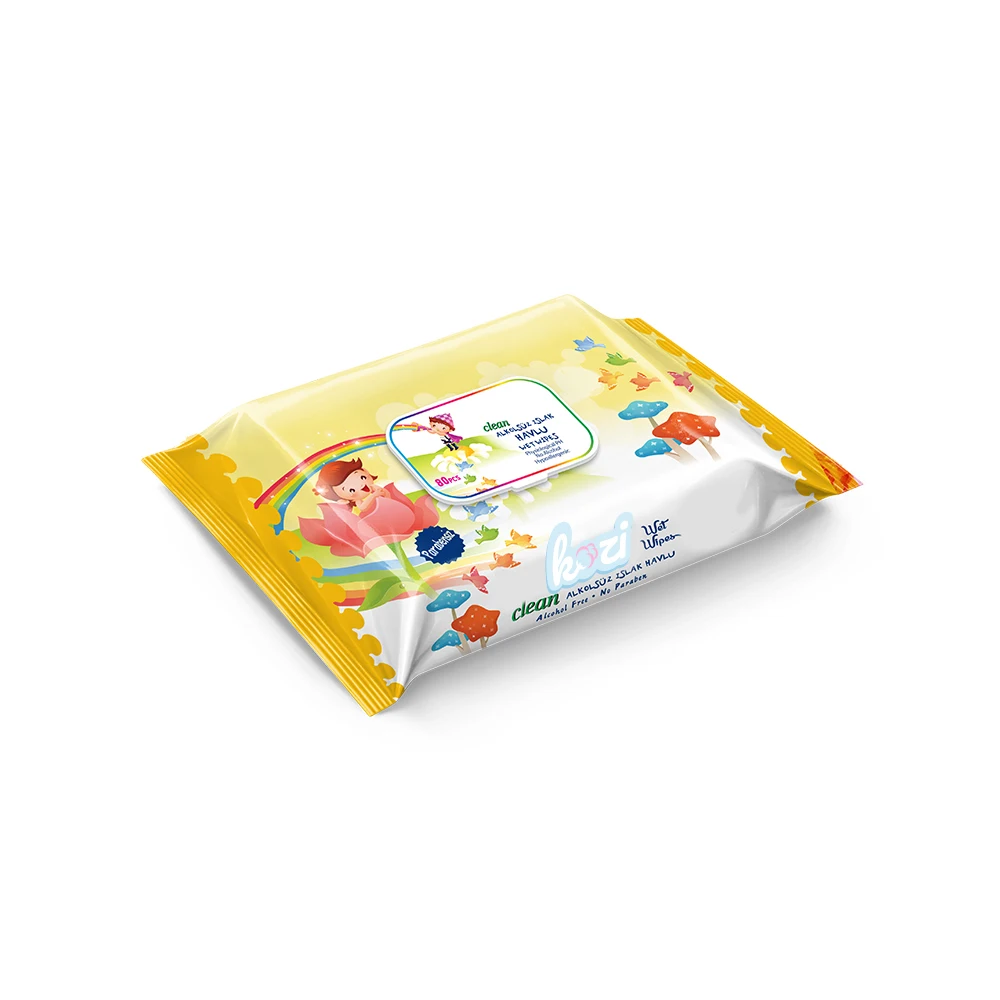 Hot Sale Disposable Daily Use Cheap OEM Wet Sanitary Paper