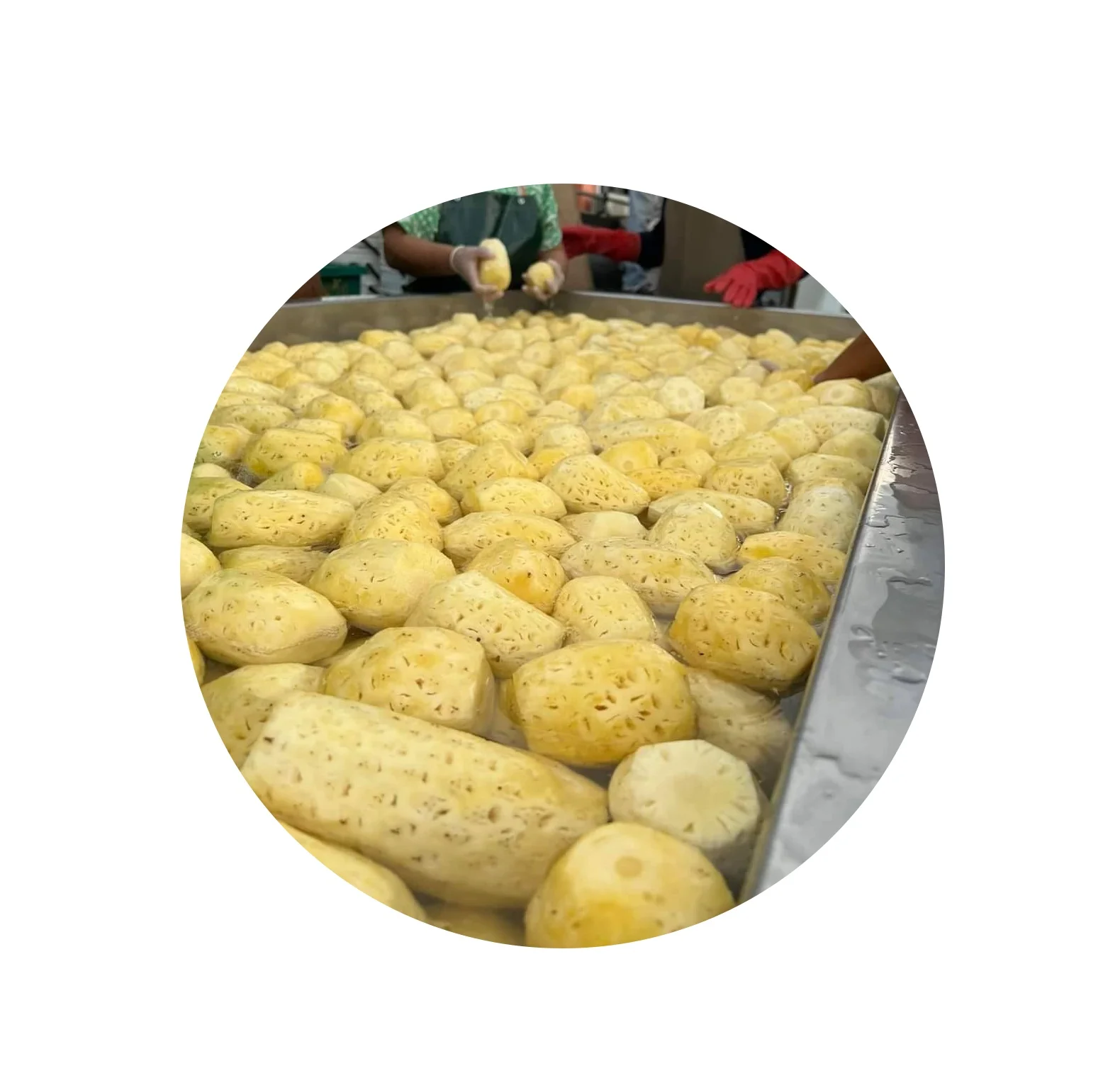 Упаковка OEM сухой ананас сушеный на воздухе лучшее качество из Таиланда приветствуется