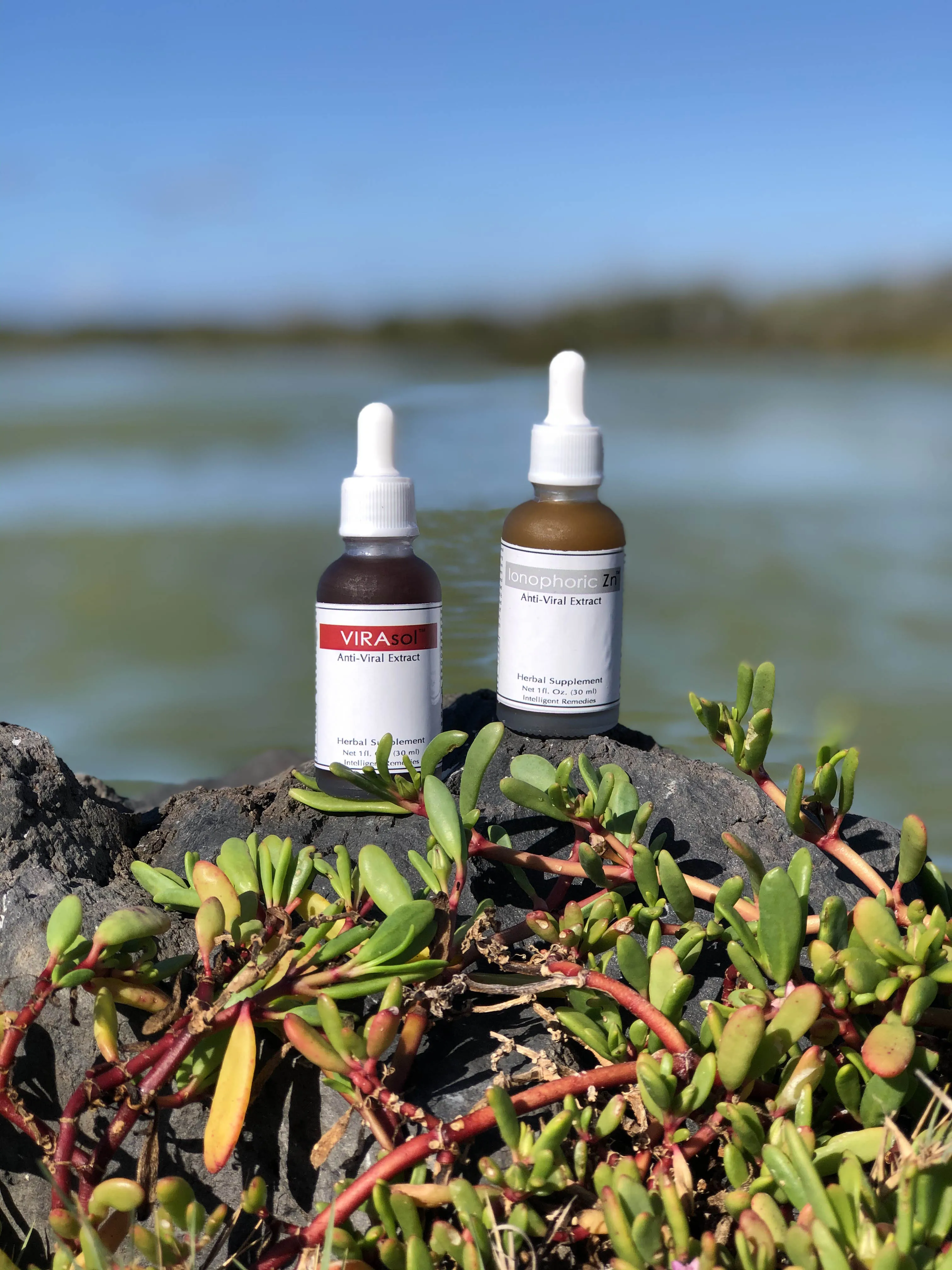 Intelligent Remedies Antiviral 1-2  Punch Set of Virasol Ionophoric Zn Immunity Supplements Immune Booster Herbal Treatment