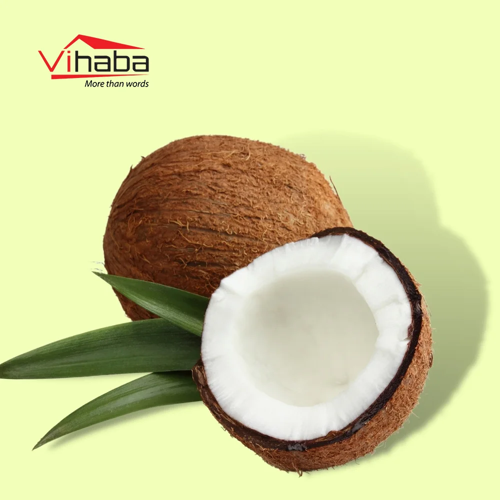 Low Medium High Fat Factory Direct Supply Low Price Dry Fruits High Quality Fresh Coconut With Export Standard