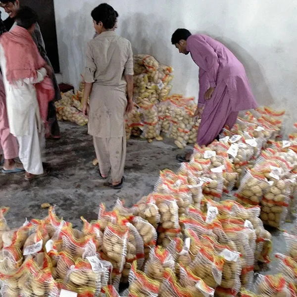 Свежий картофельный завод в Пакистане