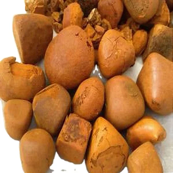 Мы предлагаем камни из коровьего Галла/желчные на продажу