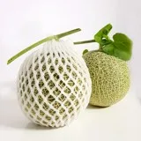 
Being Taken Care By Japanese Standard Procedure Premium Lemon King Lemon Shipping Worldwide 