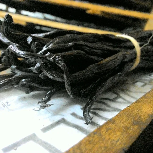 Высококачественные Ванильные бобы мадагаскарского класса А 14-18 см по хорошей цене