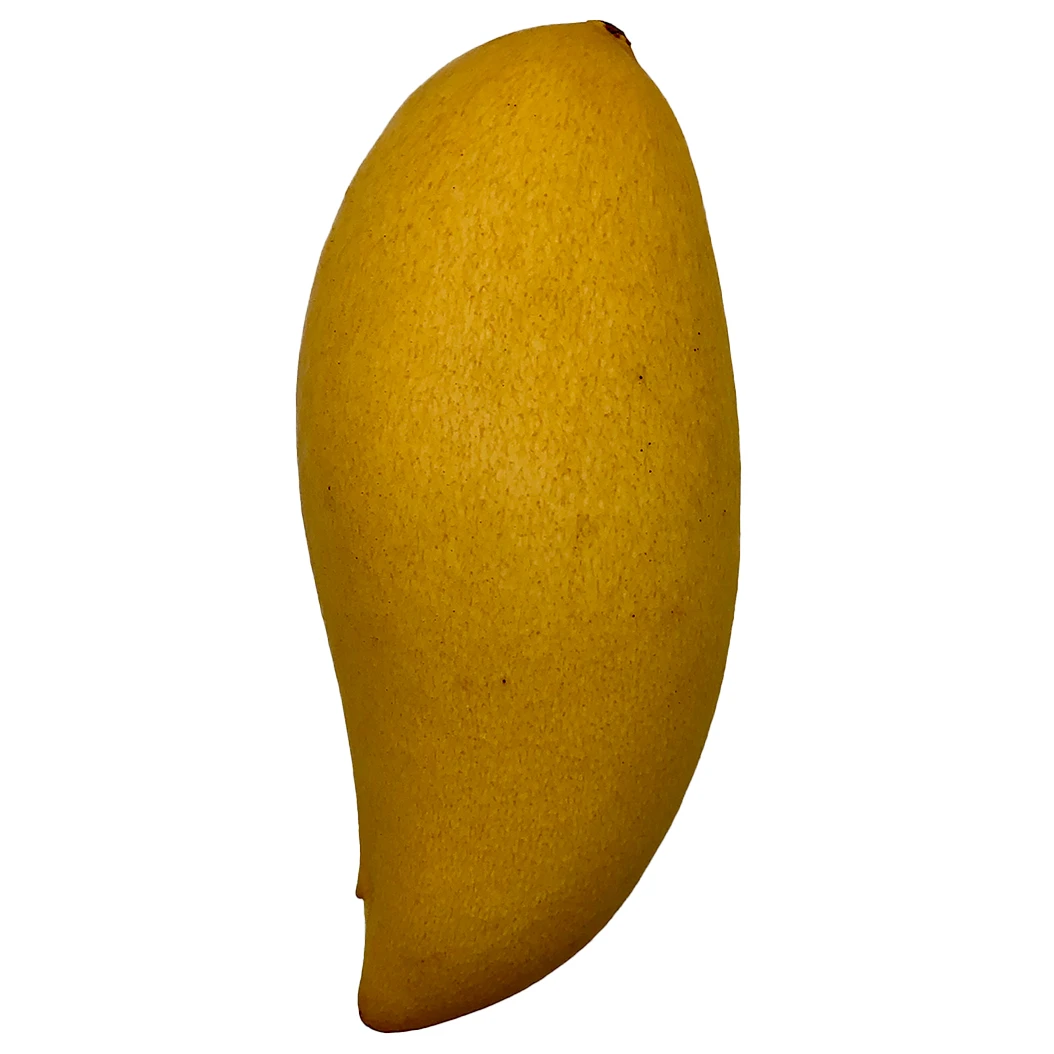 Competitive Price 80 percent maturity Mangoes Fruit Price Box Packing Top Grade Selecting for Consuming  from Thailand