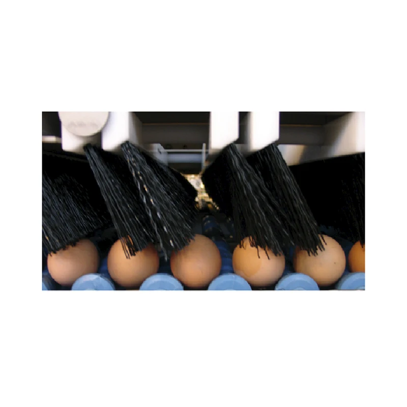 
OEM brushes for poultry farms wholesale professional brush from manufacture 