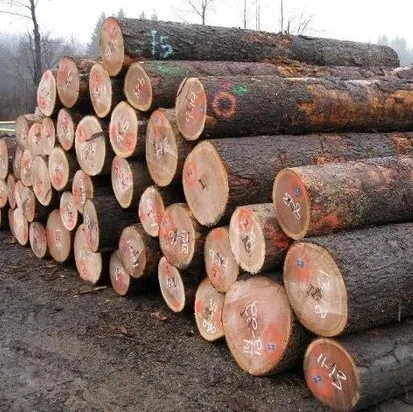  Eucalyptus timber wood logs Pine Oak