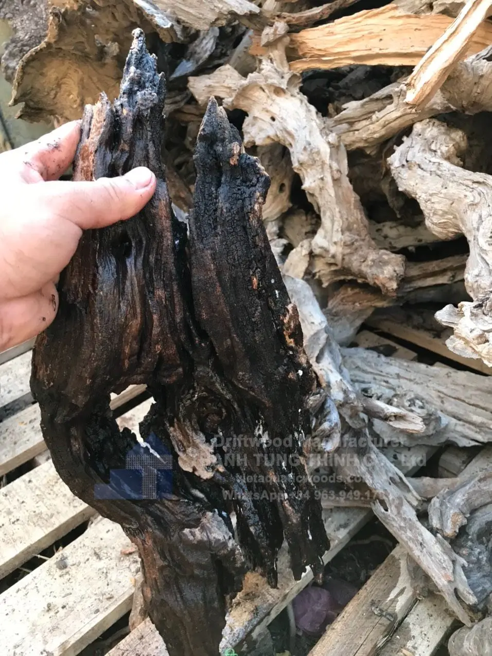 Natural aquarium driftwood mangrove root driftwood for aquarium fish tank Accessories WhatsApp: +84 961005832