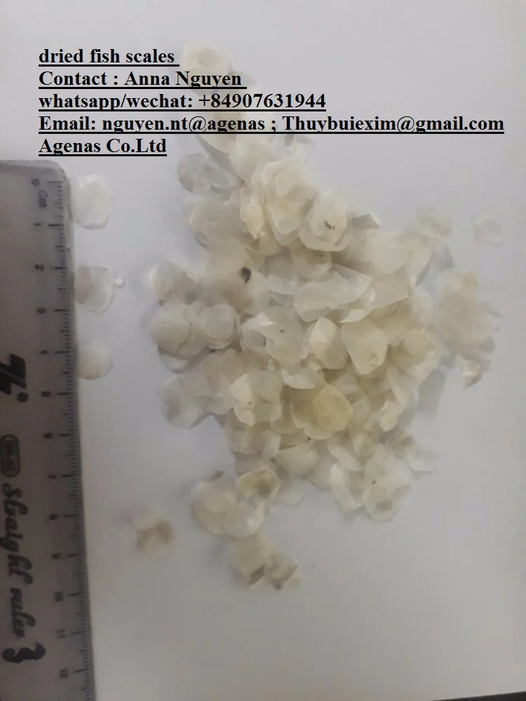 Fish Scale for collagen, good price and quality now stock From Vietnam AGENAS