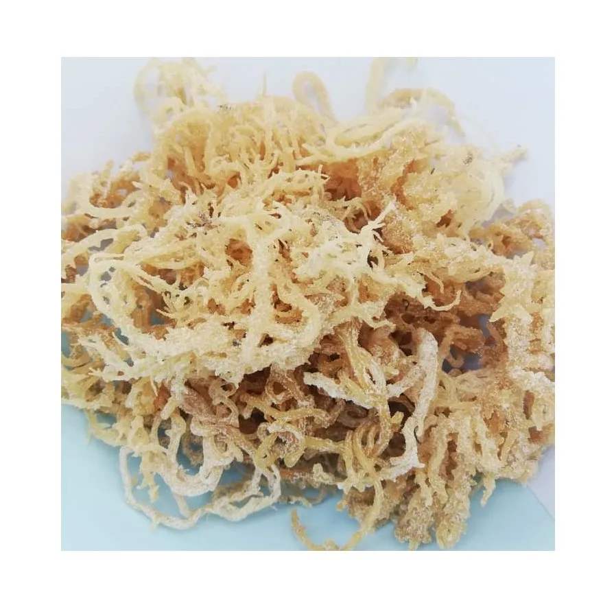 Best Selling Vietnamese New Crop Dried Vegetable Flakes Seamoss Wholesale Dried Seamoss/Katty