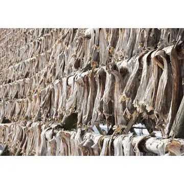 
 Сухой запас рыбы для продажи в Таиланде  