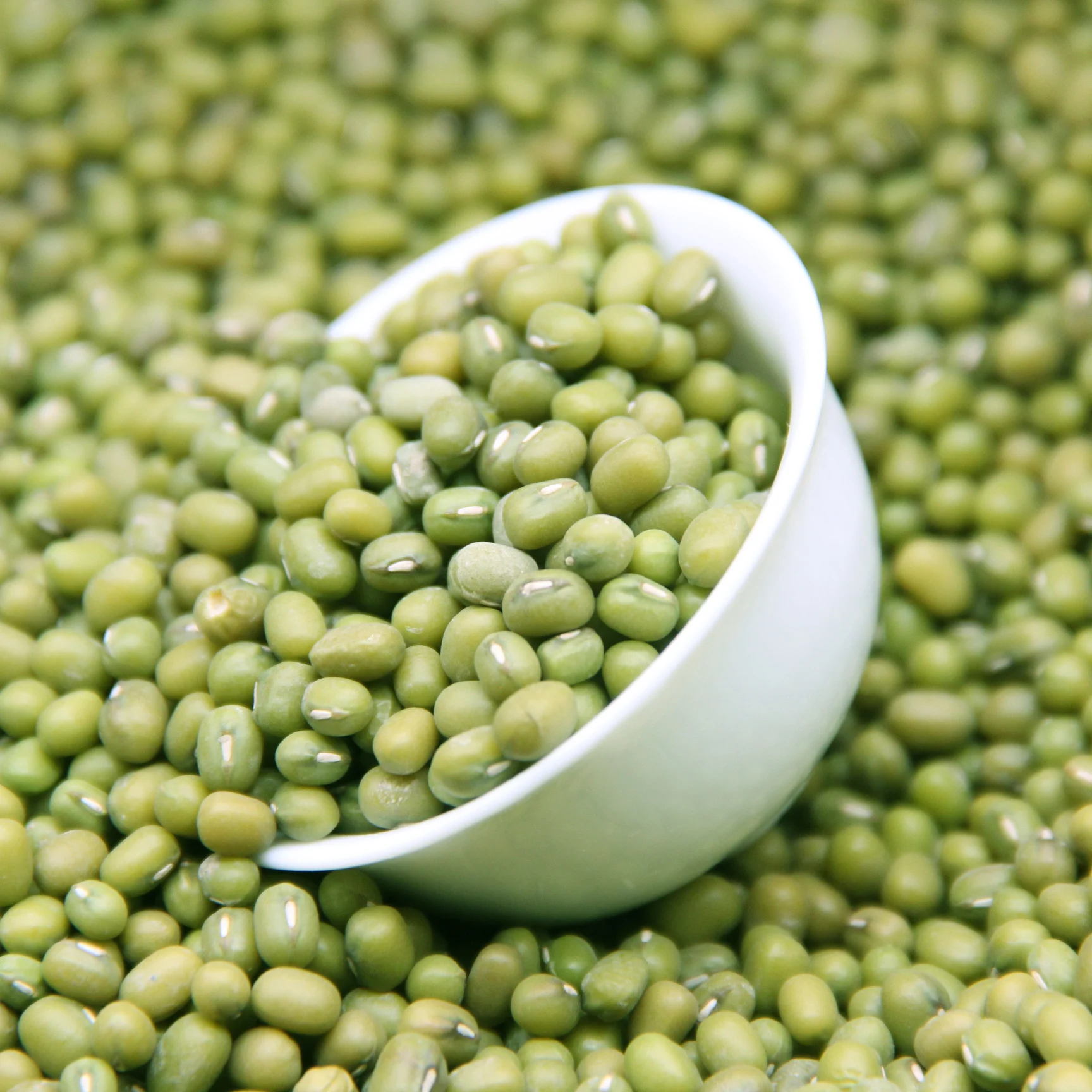 small size,2.6mm-3.5mm high quality moong dal price Green Mung Beans for sprouting