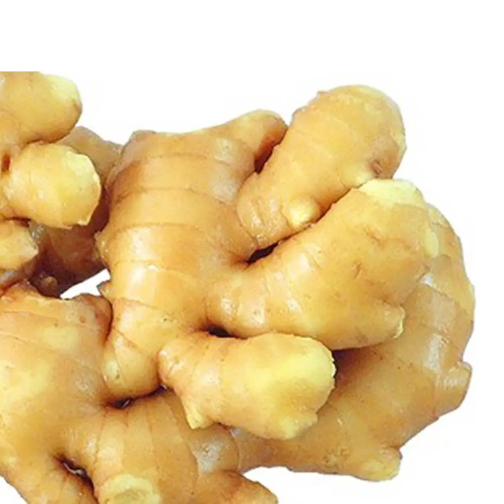 New crop Thailand fresh ginger price per ton from professional factory