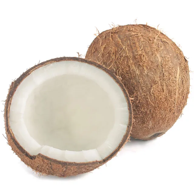 
Wholesale Indonesia Semi Husked Fresh Mature Coconut 