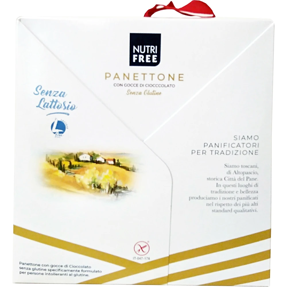 Gluten Free PANETTONE WITH CHOCOLATE CHIPS