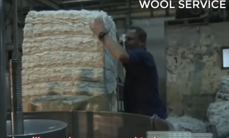 SHEEP WOOL