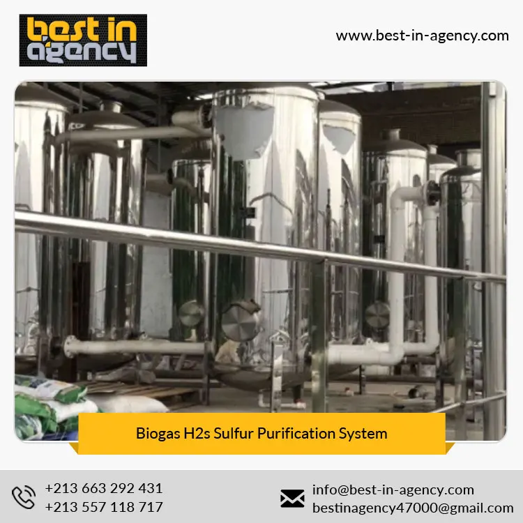 Stainless Steel 20~300 Nm3/H Moisture Desulfurization Scrubber Biogas H2s Sulfur Purification System