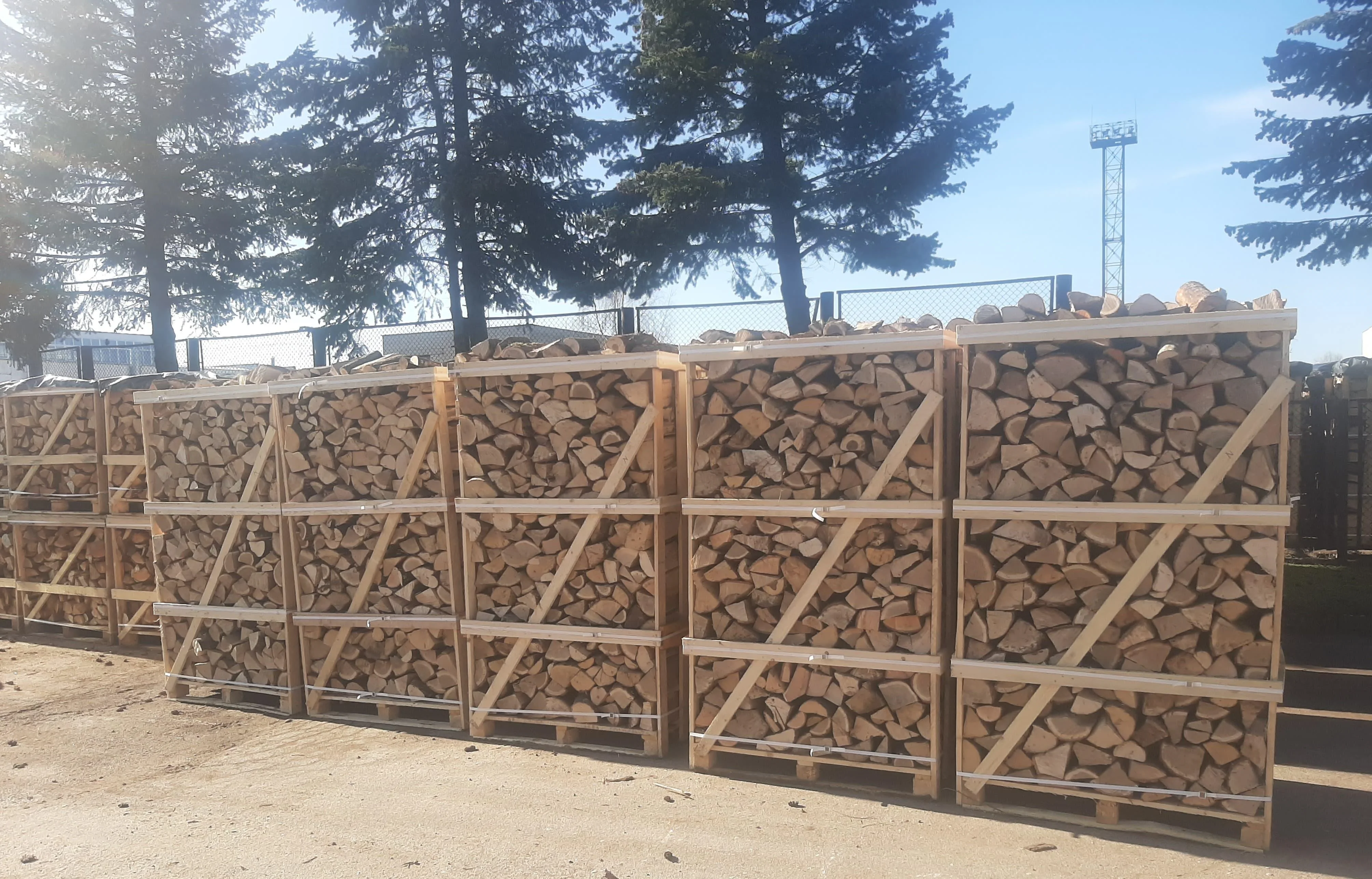 Kiln dried beech/Oak/ Ash / Birch