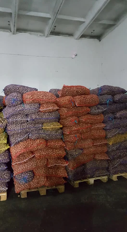 Walnuts Wholesale.jpeg