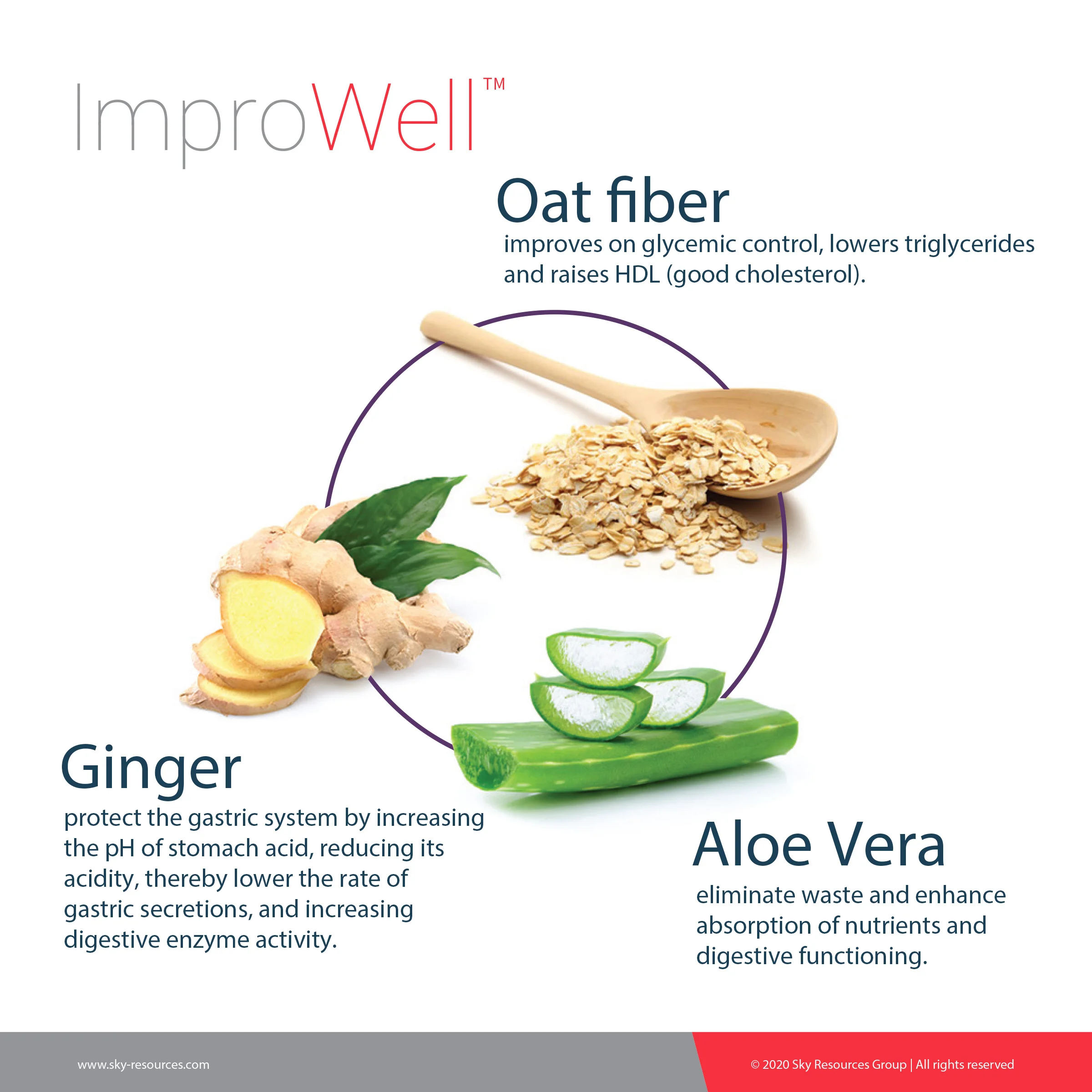 Malaysia Slimming dietary fiber detox Digestive powder Prebiotics and Probiotics with psyllium husk	promote better digestion