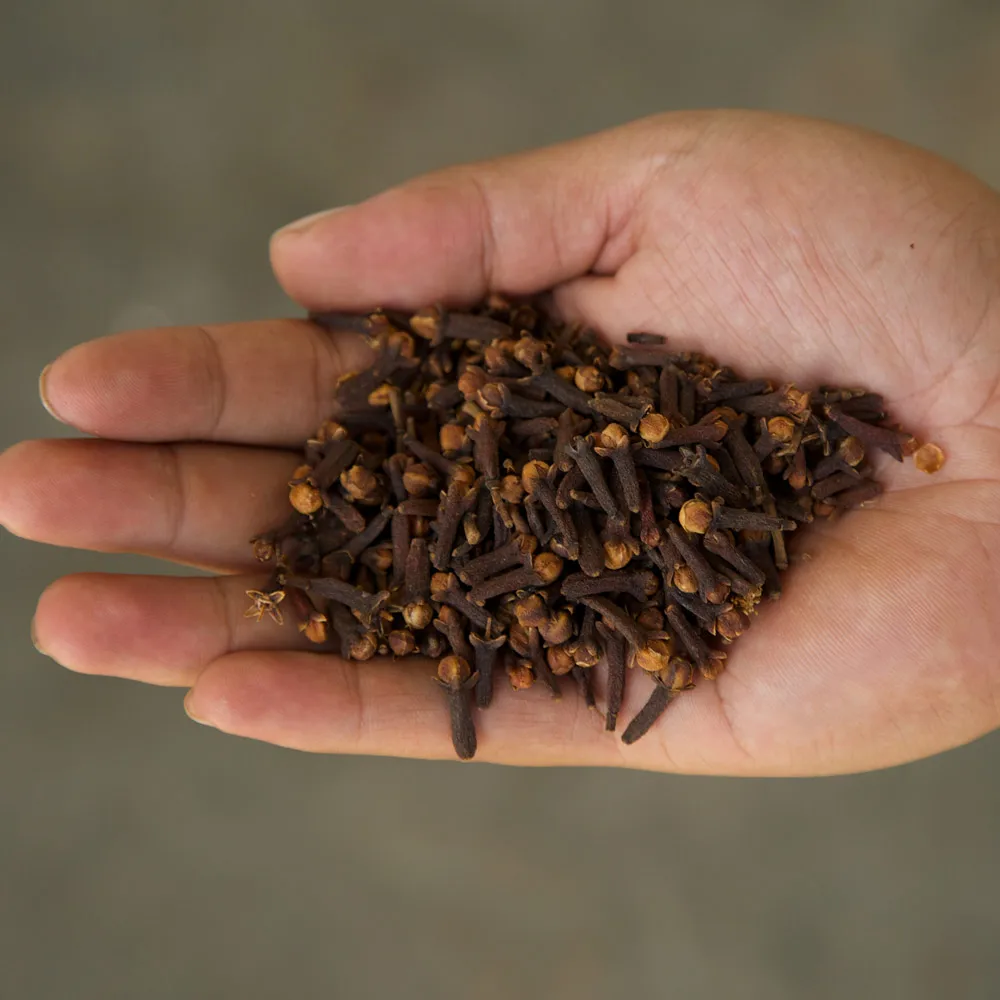 A grade quality cloves / natural cloves 100% organic / all types spices wholesale