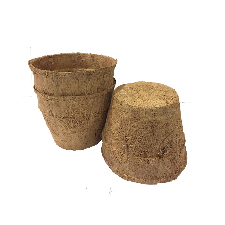 Coconut Coir Pot