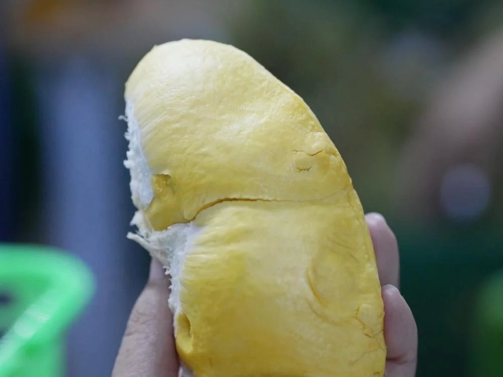 
Fresh Durian Monthong Golden Pillow Durian Thailand 