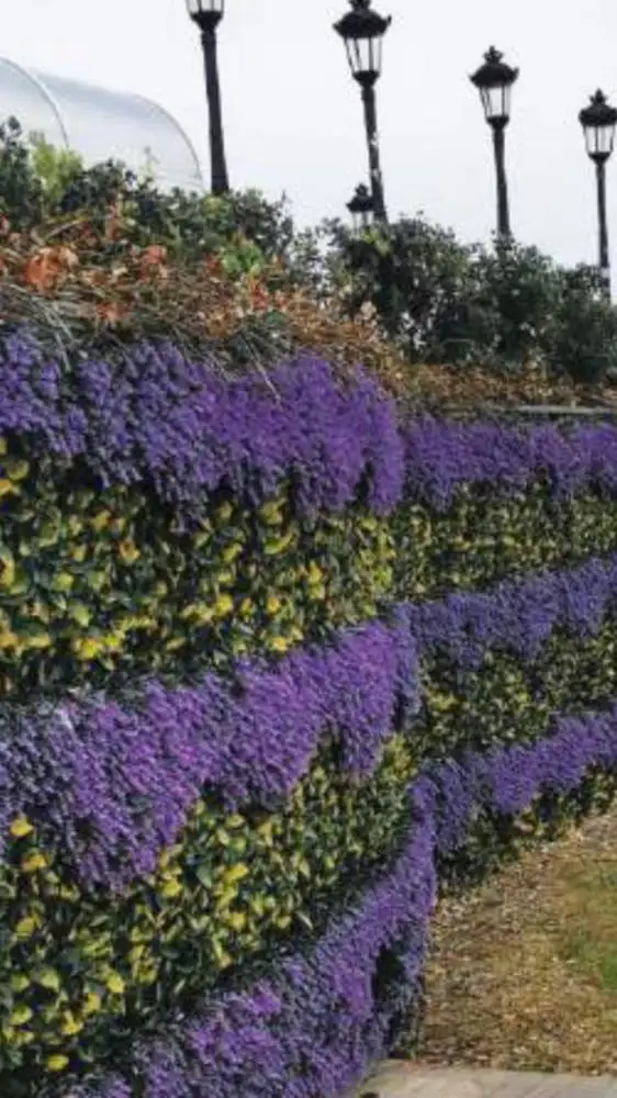 Best price ! Artificial hedge boxwood anti UV made from high quality pvc vertical artifical grass for outdoor indoor purposes