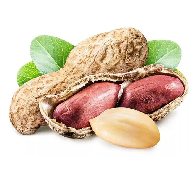 Industrial Agricultural Safety Products Wholesale High Quality Grade Moisture Red Skin Peanut