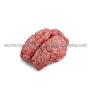 BEEF BRAIN.jpg