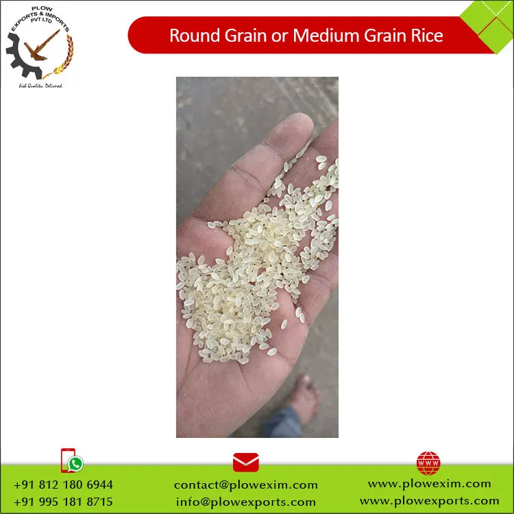 Top Selling New Stock Round Grain or Medium Grain Parbolied Rice 5% Broken Round Rice from India