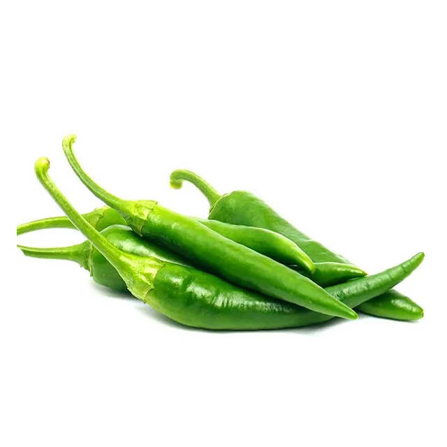 Gap, HACCP, ISO Certification High Quality 100% natural Products Best Price Hot Selling Green Fresh Chili from Uzbekistan