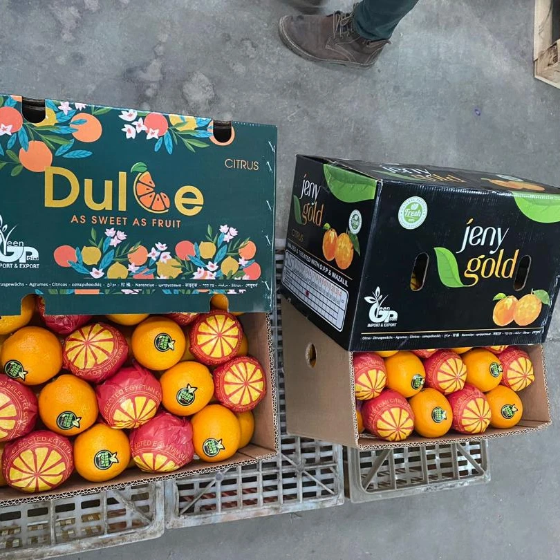 Egyptian orange for exporting