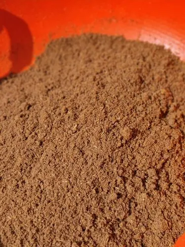 Wholesale Best Quality Chicken Feather Meal For Sale In Cheap Price