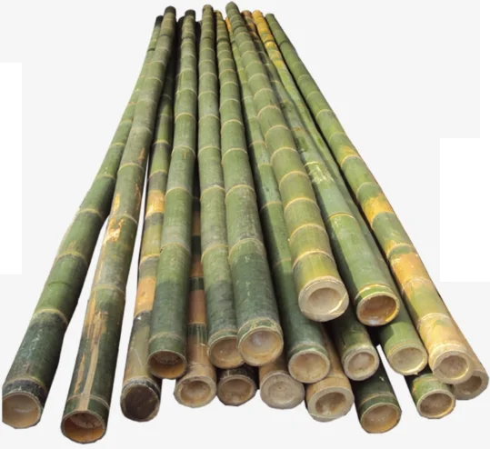
Raw Bamboo Poles   Kiddo ( 84905010988)  (1700003279426)
