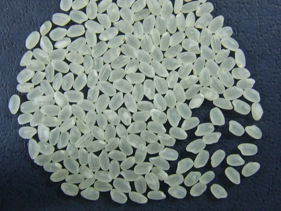 Cheapest price Vietnam Japonica rice 5% broken/ best quality// Ms Catina whatsapp +84 904 312 620