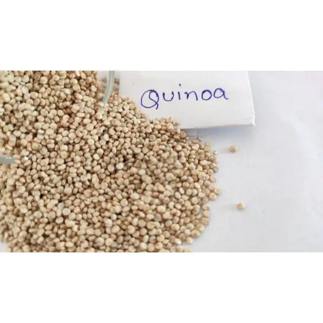  Цена белых семян Quinoa оптом из